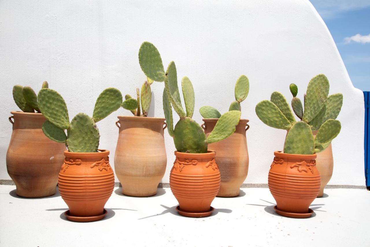 Amphora Villas Santorini Akrotiri Akrotírion Eksteriør billede